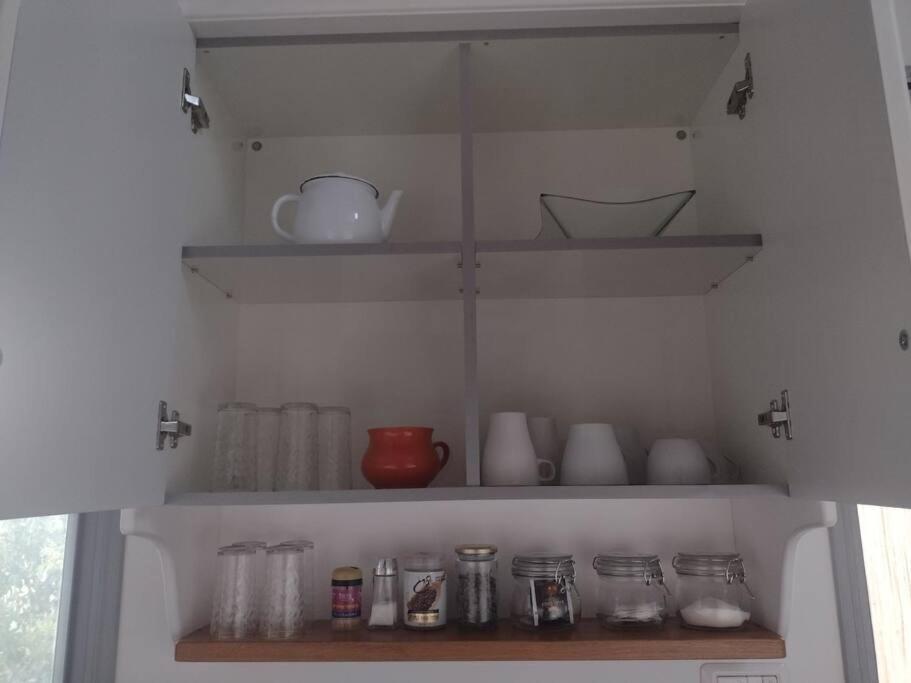 Appartement יער האלונים à Ein Zivan Extérieur photo